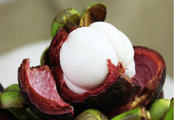 水果山竹营养价值有哪些,山竹水果皇后的功效