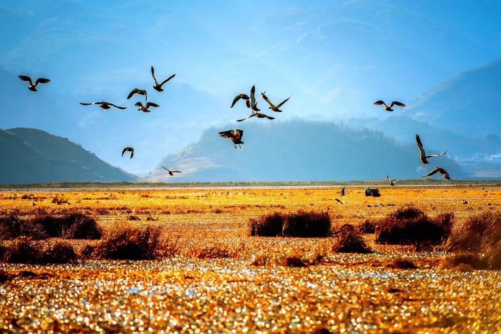 凉山不为人知美景,凉山最好的三个县