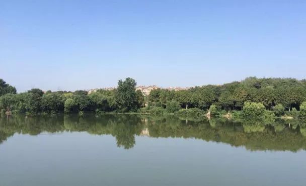 省下一大笔！今天起，郑州这些统统免费，不知道你就亏大了