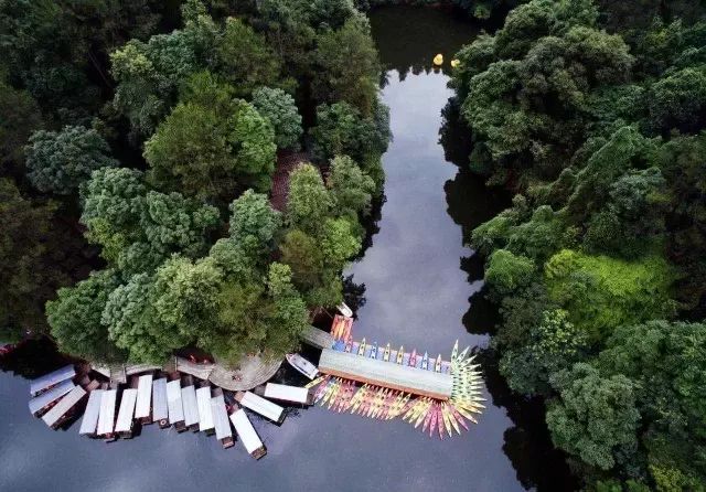 开奖｜林盘里、绿道上、花海间！20张石象湖门票花落谁家