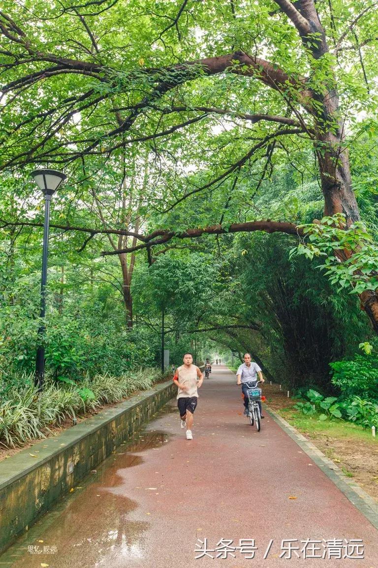 还剩三天！看腻了清远的好山好水，不如来江心岛看场展览吧~