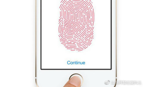 面容支付和指纹支付哪个安全,指纹支付安全校验