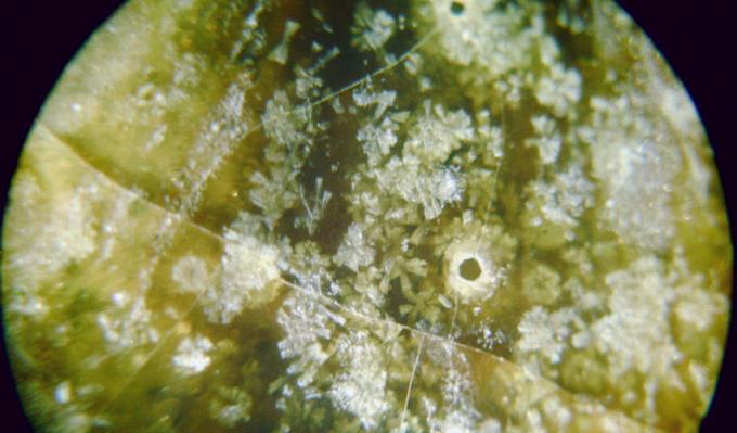 古瓷如何鉴定真伪,古瓷真伪鉴别的六种方法