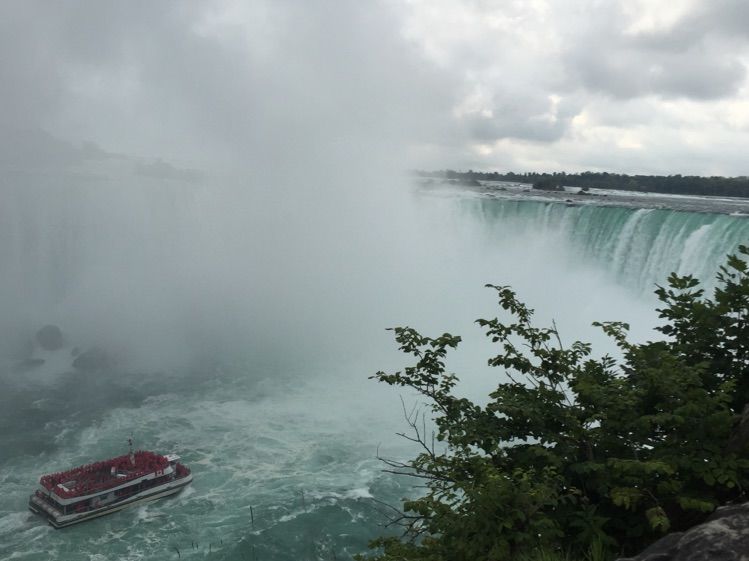 八位佳人在远方——初中闺蜜团加拿大游之美好印记