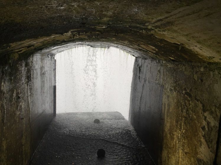 八位佳人在远方——初中闺蜜团加拿大游之美好印记