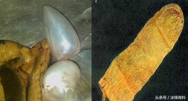 好奇古人找中草药,好奇古人怎么过假期