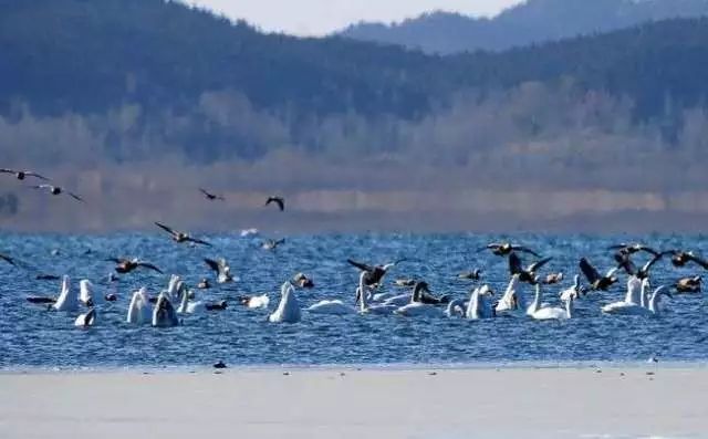 端午小假期必备!北京周边人少景美的实惠旅行地推荐!