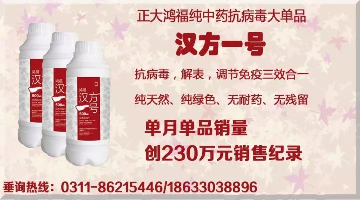 专注于动物保健非抗生素领域研发，致力成为此领域世界一流制造企业——石家庄正大鸿福集团2018-2019年度总结大会记