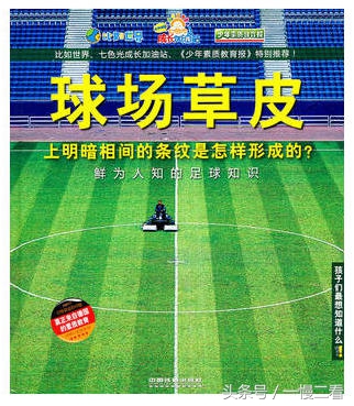 关于足球的书有哪些,世界杯开始了