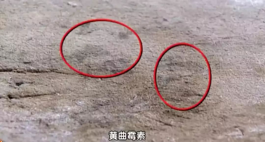 99%抗菌的菜板，不发霉，磨刀磨蒜样样能行