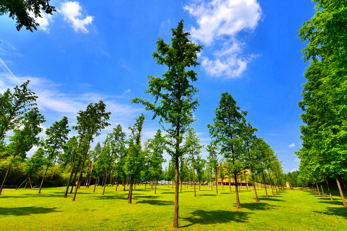 韩国排名第一的韩剧,韩国公认最好看的韩剧