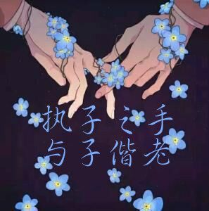 十年一品温如言言希何时喜欢温衡,十年一品温如言言希和温衡