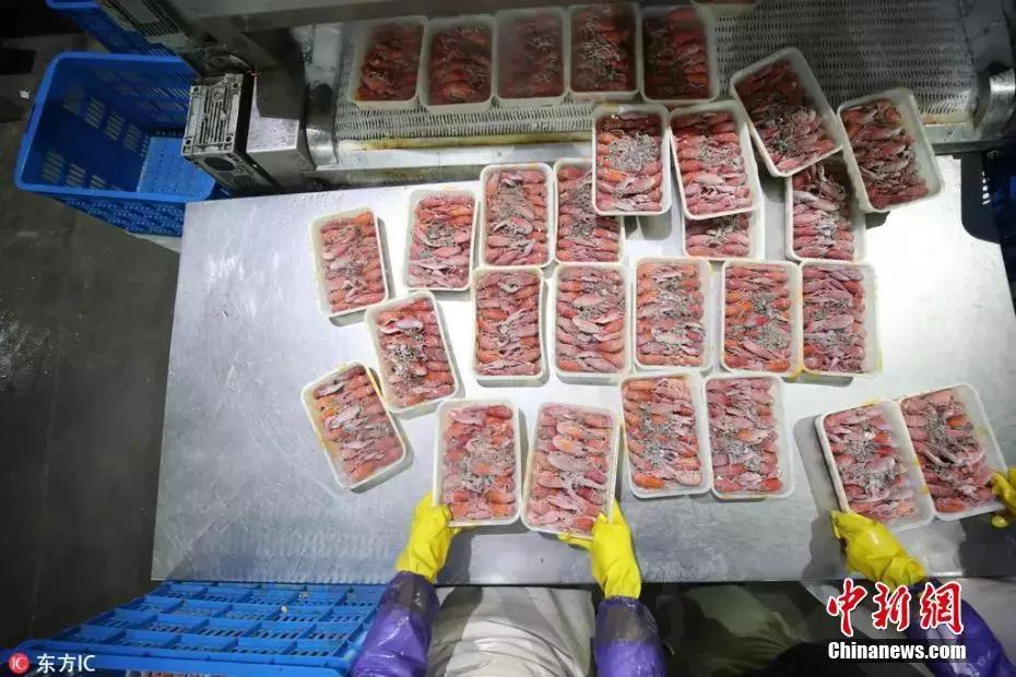 速看请收好这份世界杯观赛指南,世界杯今晚赛事安排