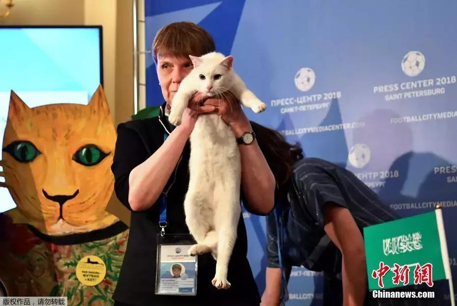 速看请收好这份世界杯观赛指南,世界杯今晚赛事安排