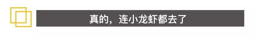 没想到,代替国足“征战”世界杯的,是10万只小龙虾……