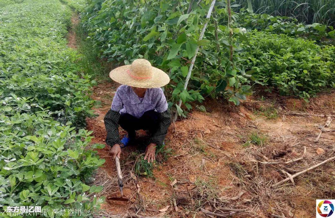 大眼宝宝爸爸,大眼宝宝太可爱了