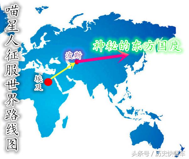 喵星人的变化史,喵星人养猫13年经验分享