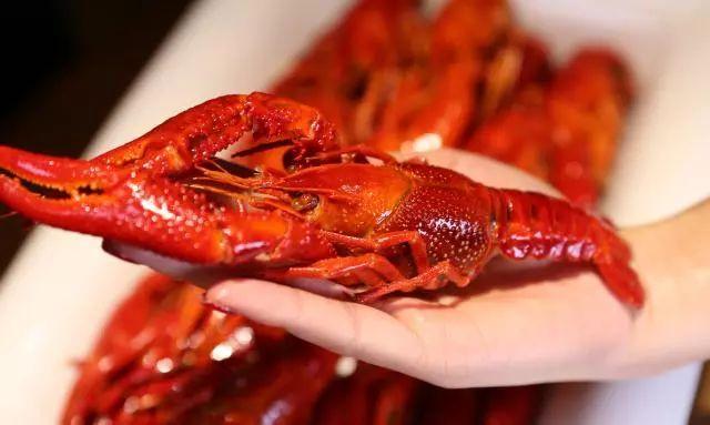 小龙虾市场超140亿,小龙虾利润为什么这么高