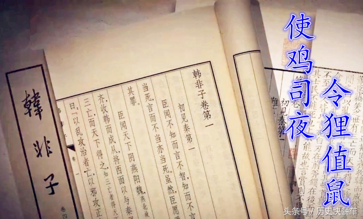 喵星人的变化史,喵星人养猫13年经验分享