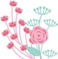 花乡哪天开始无新增,花乡卖不掉的二手车怎么处理