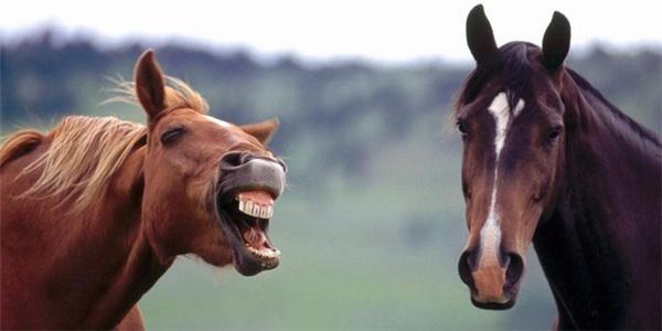 如何做好车间主任ppt,车间主任如何做好安全工作