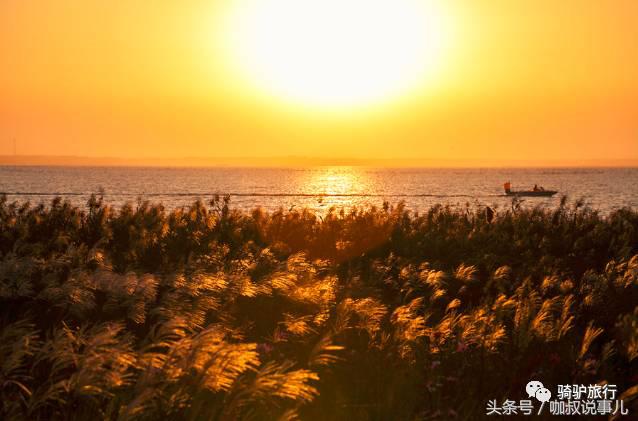 江苏古镇景点排名前十名,江苏最全古镇清单