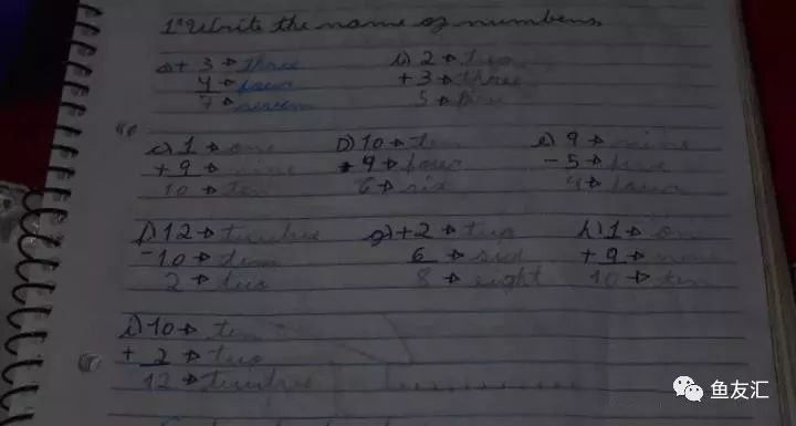 特隆贝塔如何饲养,特隆贝塔半皇与红彩区别