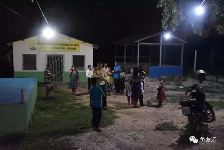 特隆贝塔如何饲养,特隆贝塔半皇与红彩区别