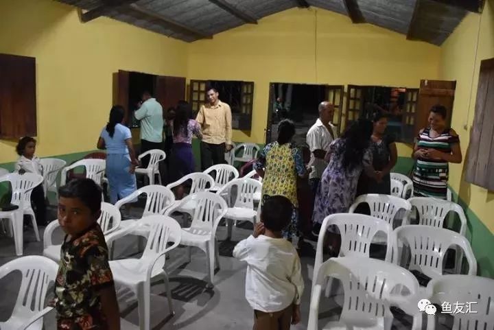 特隆贝塔如何饲养,特隆贝塔半皇与红彩区别