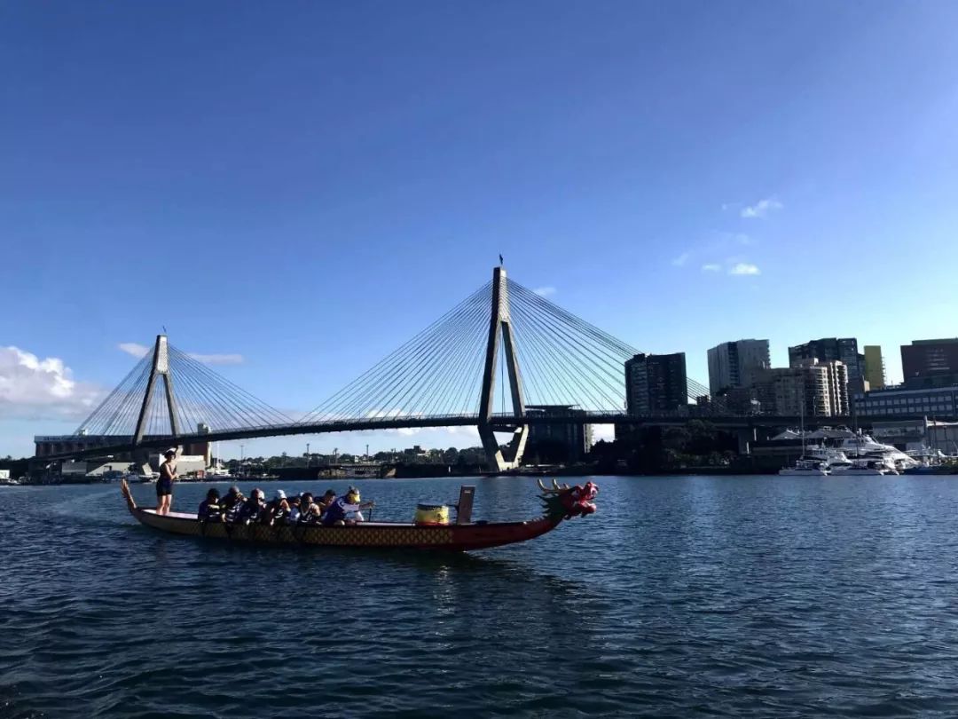 我在悉尼买龙舟,天猫下单解乡愁