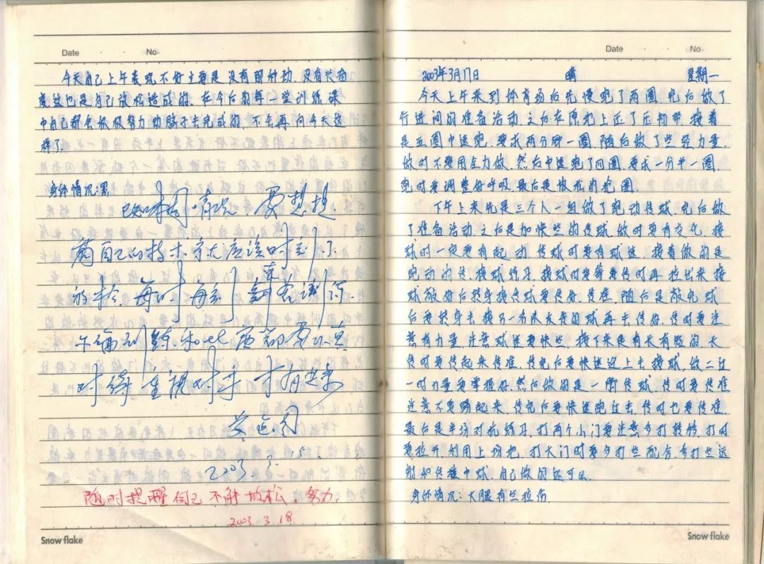 日记踢球范文,日记足球篇