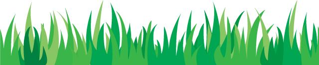 LIVE！廉政瞭望特派记者发来世界杯现场报道