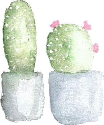 端午时节粽子飘香,端午时节粽香四溢