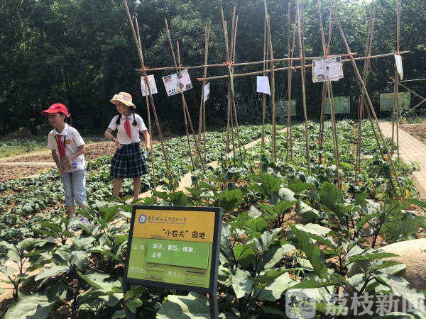 水果生态采摘园南京,水果采摘园基地南京