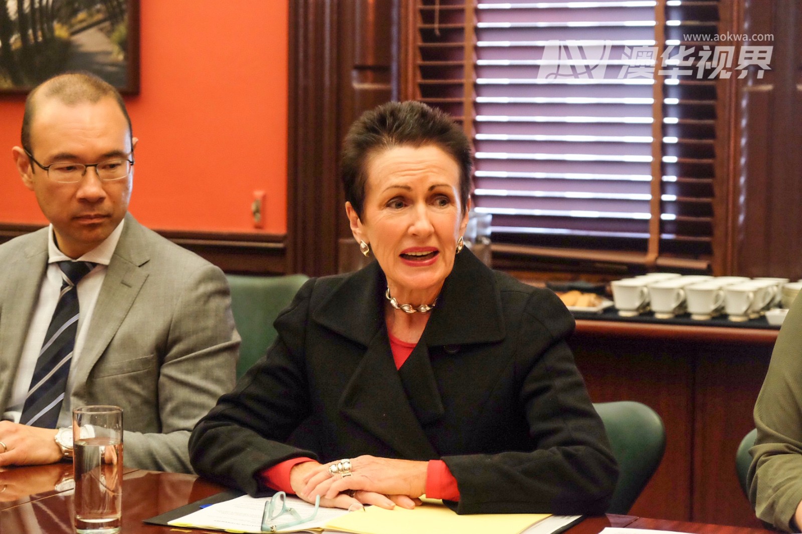 悉尼市发展规划,悉尼前瞻采访