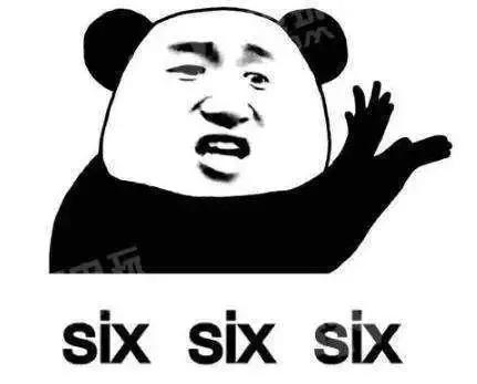 世界杯装啤酒容器,世界杯装腔指南荷兰