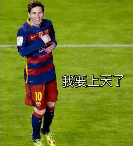 世界杯装啤酒容器,世界杯装腔指南荷兰