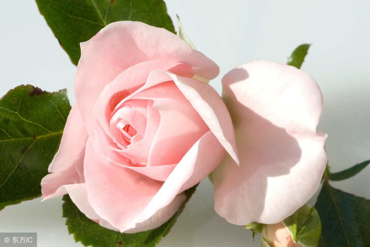 生活小常识收藏,各种实用的生活小常识