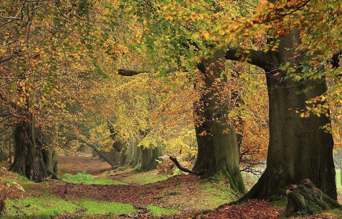 几十块钱黑绷带面霜,赫莲娜哪款面霜比较好用