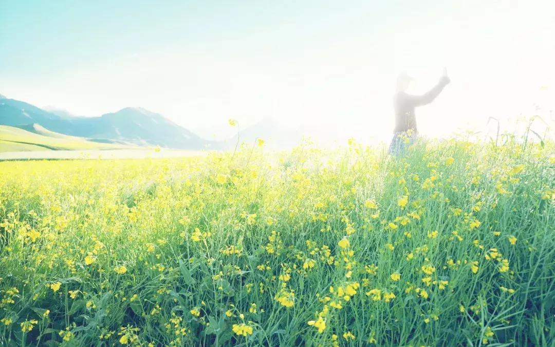 端午三天假期是哪三天,端午三天天气