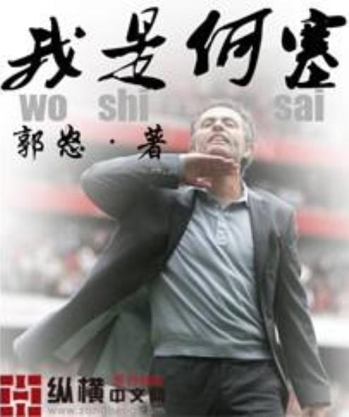 十大公认最好看的足球小说,十大经典足球网络小说