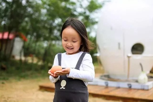 不用计划了！大连人的这个端午，看着这条微信过就行！