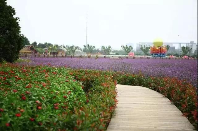 义乌游玩好去处义乌海洋世界,义乌五一亲子游推荐水上乐园