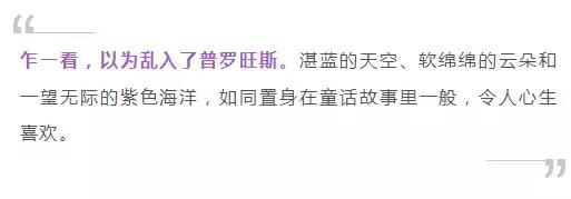 义乌游玩好去处义乌海洋世界,义乌五一亲子游推荐水上乐园