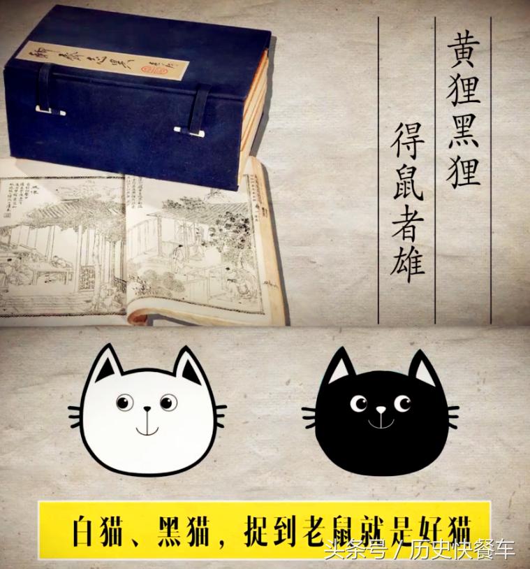 喵星人的变化史,喵星人养猫13年经验分享