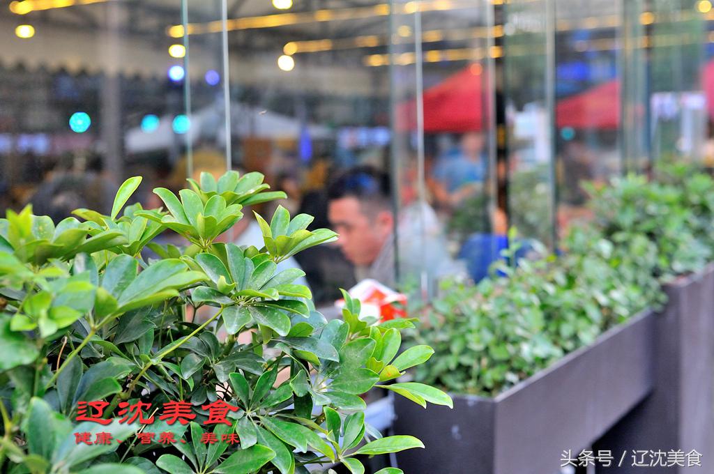 东北人为中国健儿助威的方式,沈阳足球世界杯