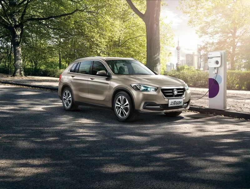 绿茵上的绿色生活,之诺申花激情足球夜开启球迷狂欢季