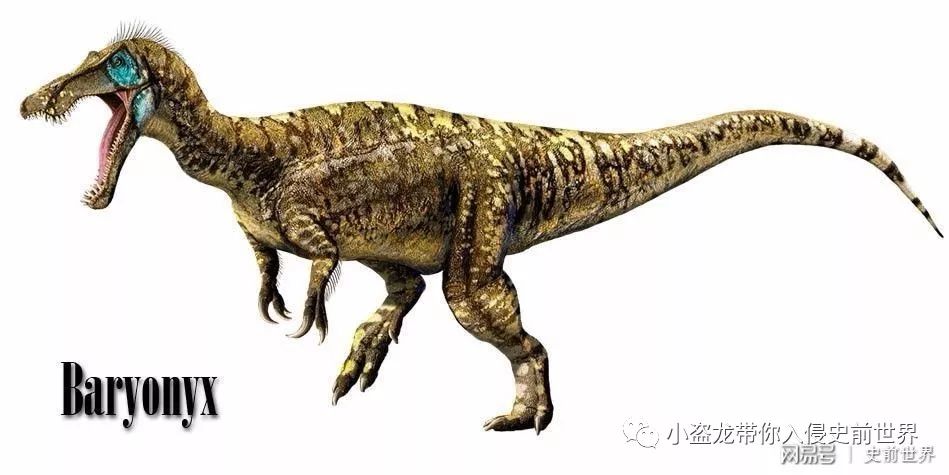 《侏罗纪世界2》所有恐龙的名字,侏罗纪世界2里面所有的恐龙名字