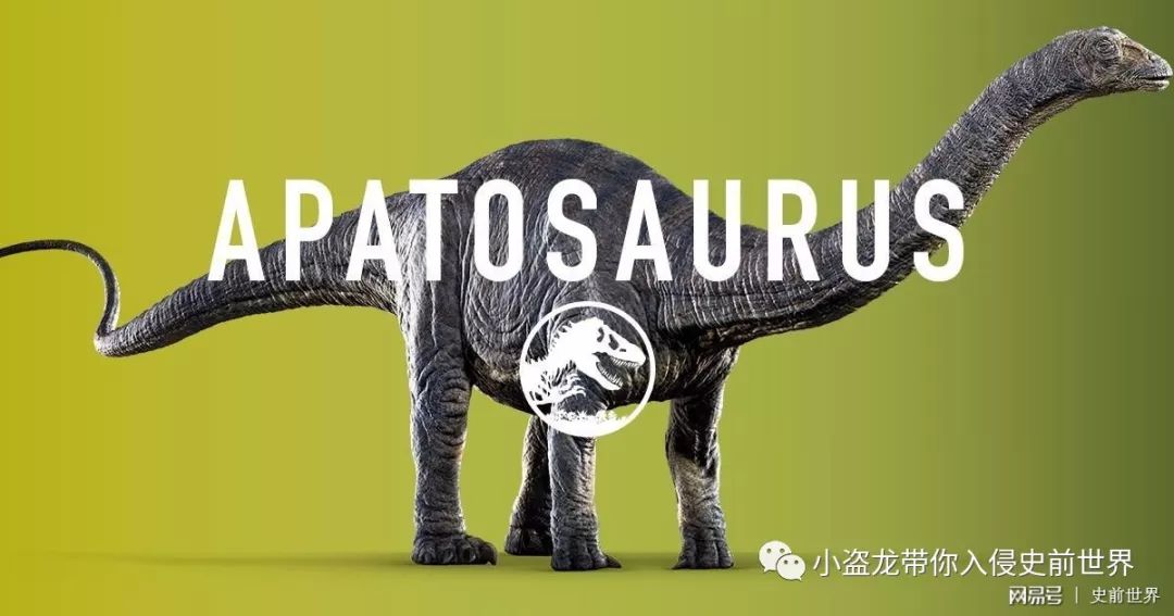 《侏罗纪世界2》所有恐龙的名字,侏罗纪世界2里面所有的恐龙名字