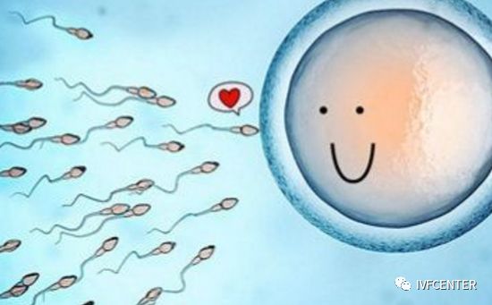 移植失败多次试管,移植多次失败最大的原因是什么